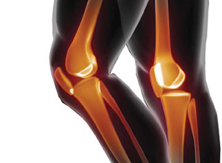 Knee Systems